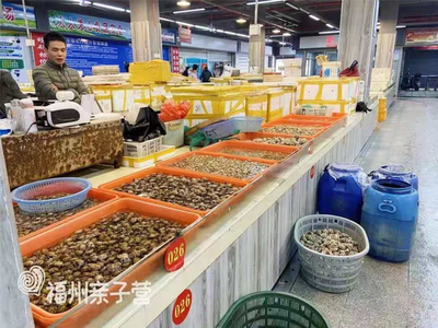 福州最全海鮮購買攻略 從水產品批發(fā)市場到家庭餐桌