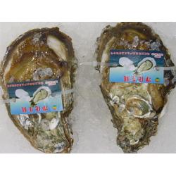 湛江市金屬材料貿易與日用百貨銷售行業(yè)的發(fā)展與前景