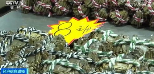 金華正大量上市，價格大跳水！水產品批發(fā)需注意這些問題